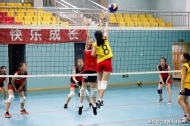 解析小葛雷诺的打击爆发力机制